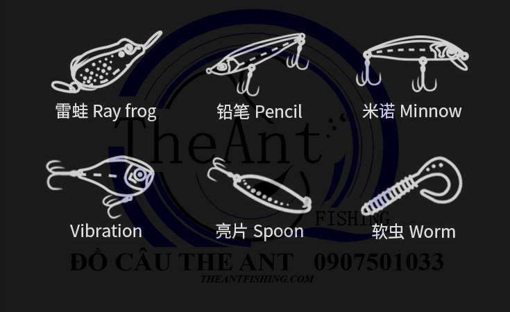 Những điều cơ bản về kỹ thuật câu lure, kinh nghiệm câu lure